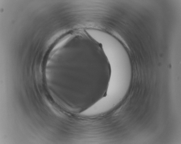 X0000061760674200512231551