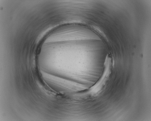 X0000061760676200512231551