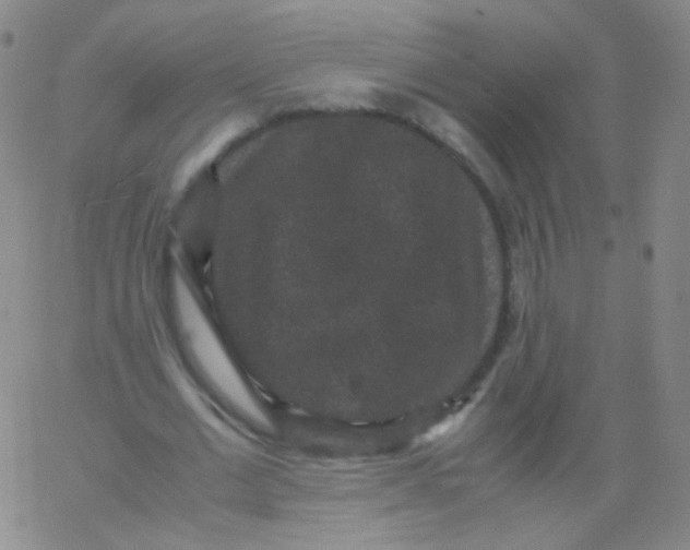 X0000061760677200512231551