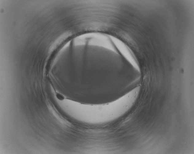 X0000061760678200512231551