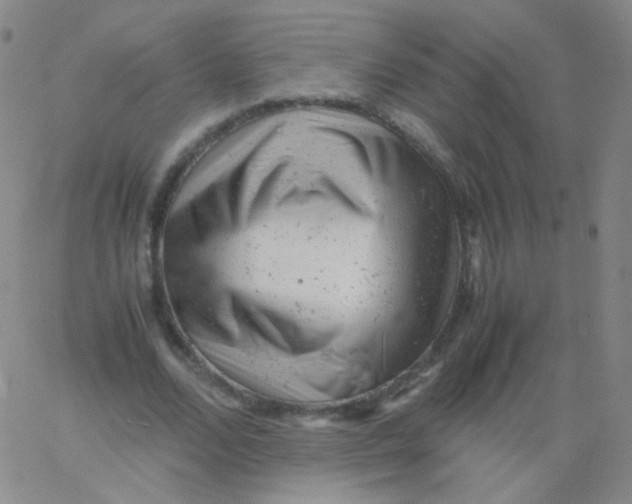 X0000061760680200512231551