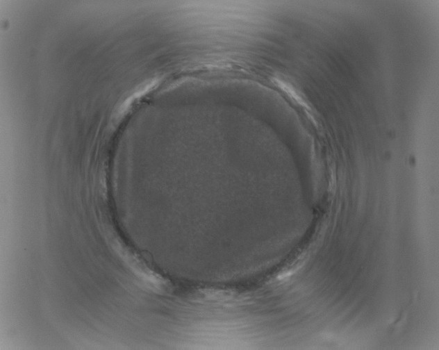 X0000061760681200512231551