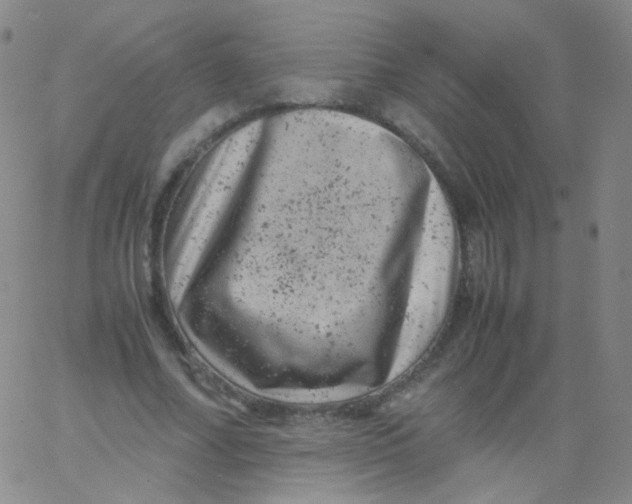 X0000061760682200512231551