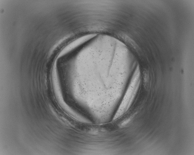 X0000061760684200512231551