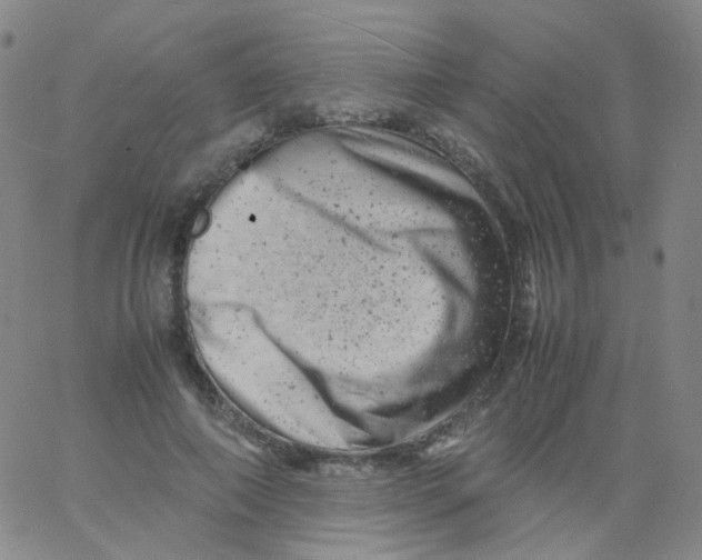 X0000061760690200512231551