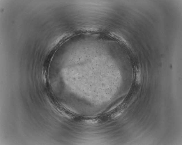 X0000061760692200512231551