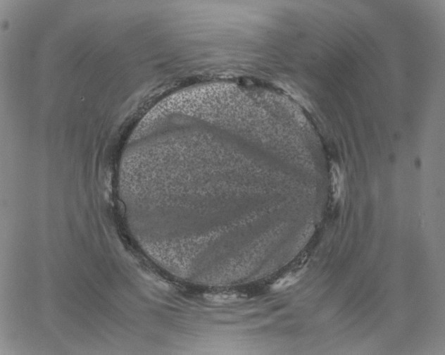 X0000061760693200512231551