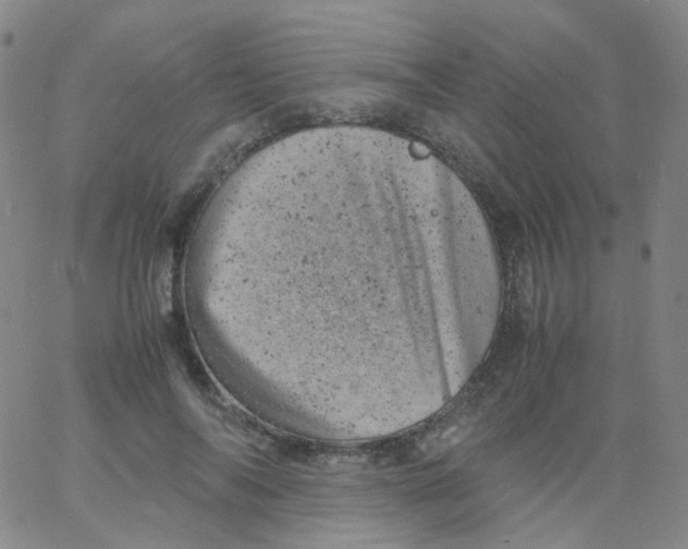 X0000061760694200512231551