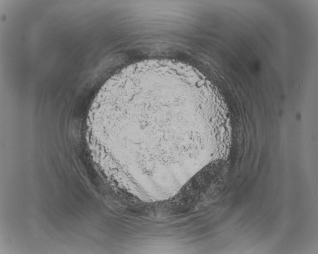 X0000061760695200512231551