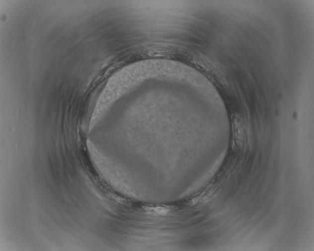 X0000061760698200512231551