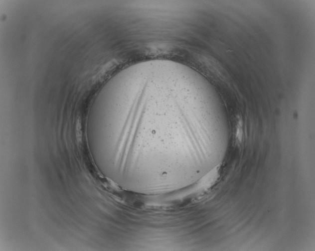 X0000061760700200512231551