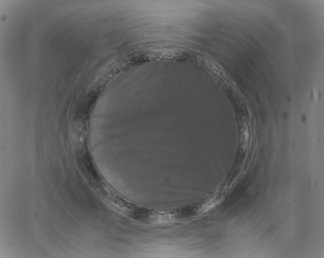 X0000061760701200512231551