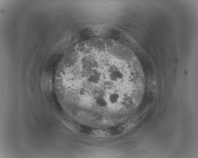 X0000061760703200512231551