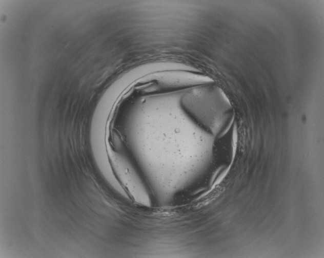 X0000061760704200512231551