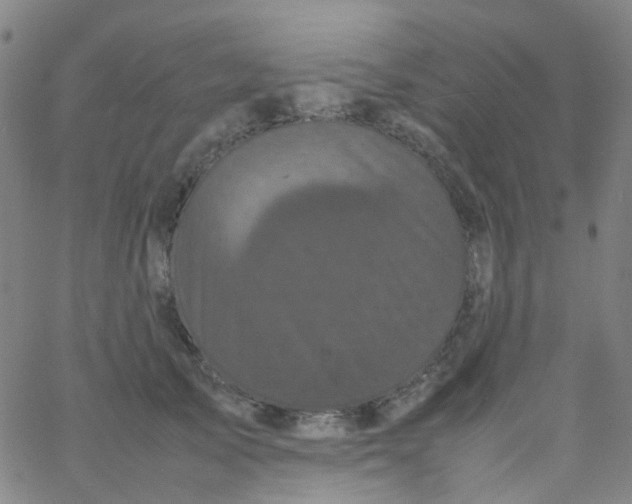 X0000061760705200512231551