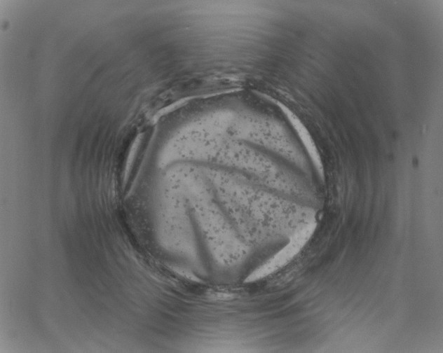 X0000061760706200512231551