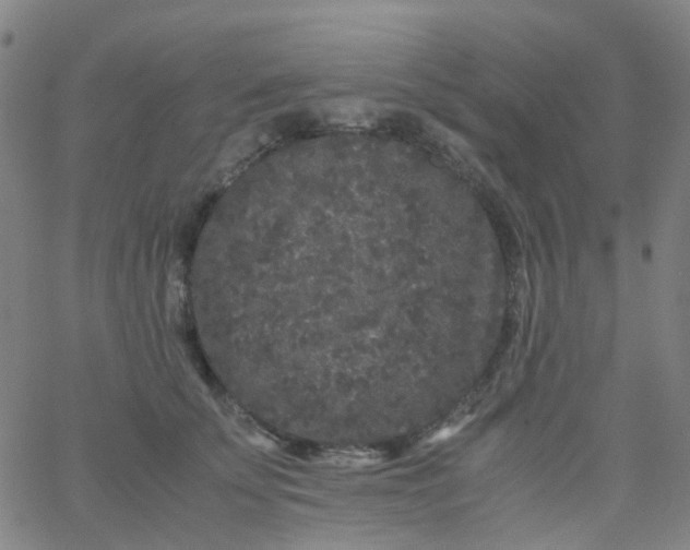 X0000061760707200512231551