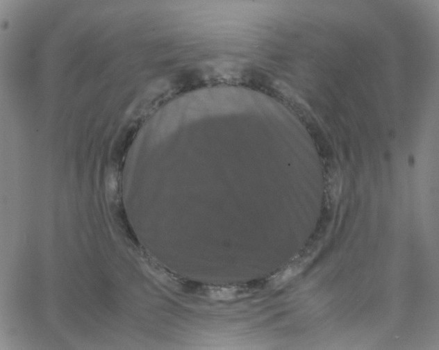 X0000061760709200512231551