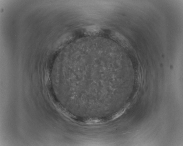 X0000061760711200512231551