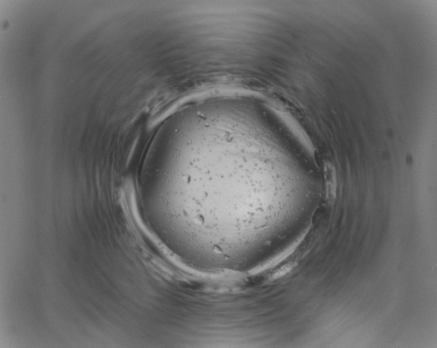 X0000061760712200512231551