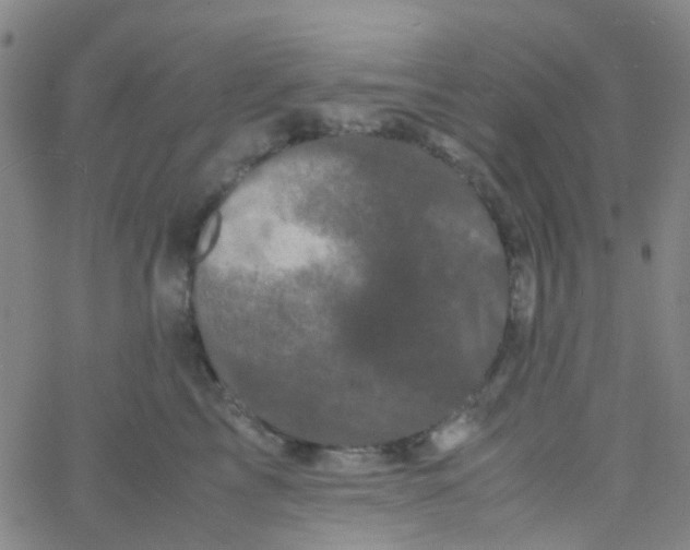 X0000061760713200512231551