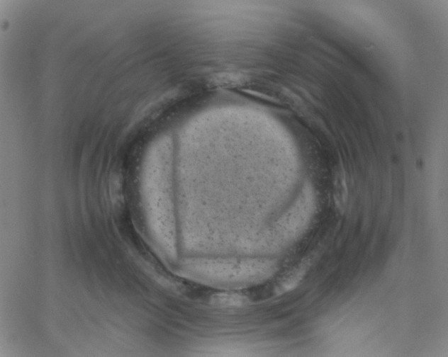 X0000061760714200512231551