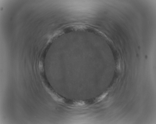 X0000061760715200512231551