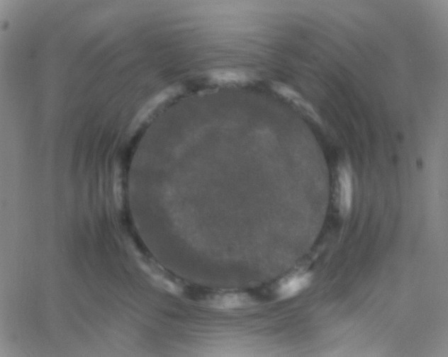 X0000061760716200512231551