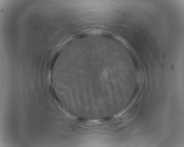 X0000061760717200512231551