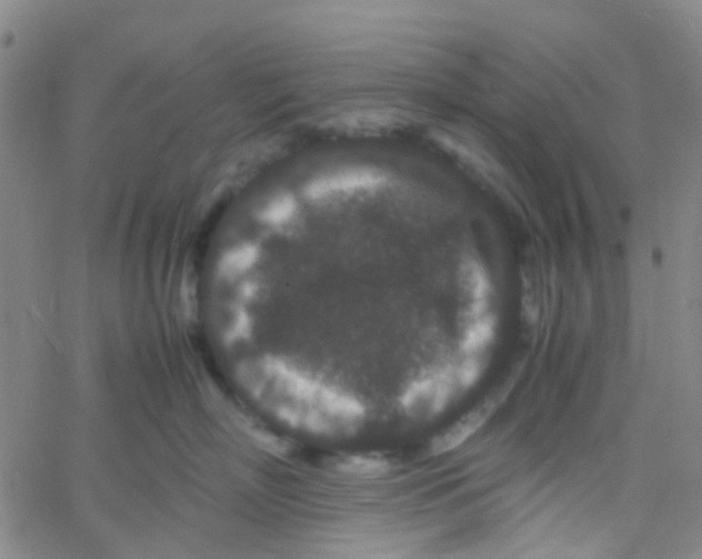 X0000061760718200512231551