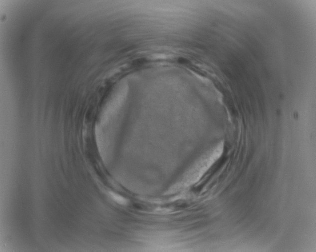 X0000061760719200512231551