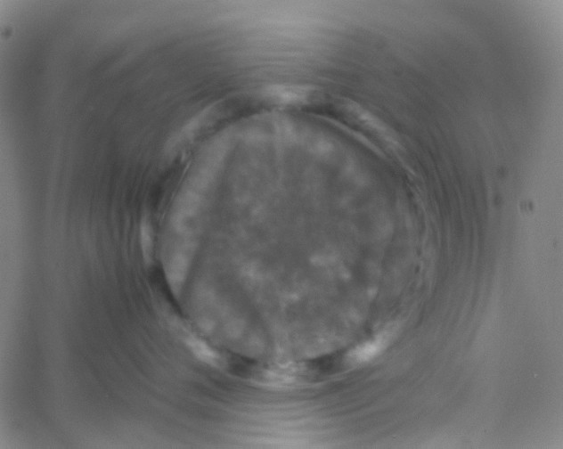 X0000061760720200512231551