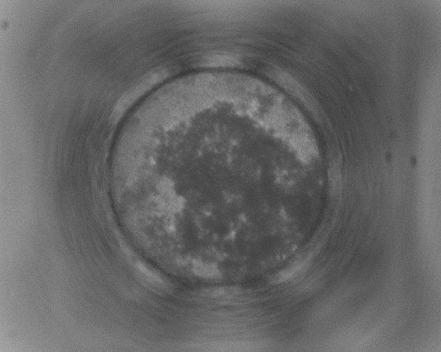 X0000061760721200512231550