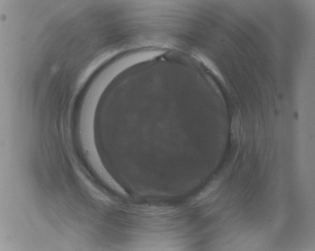 X0000061760722200512231550