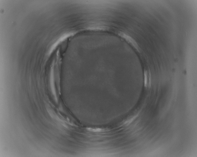 X0000061760723200512231550