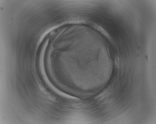 X0000061760724200512231550