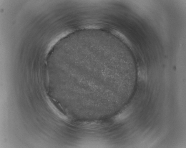 X0000061760725200512231550