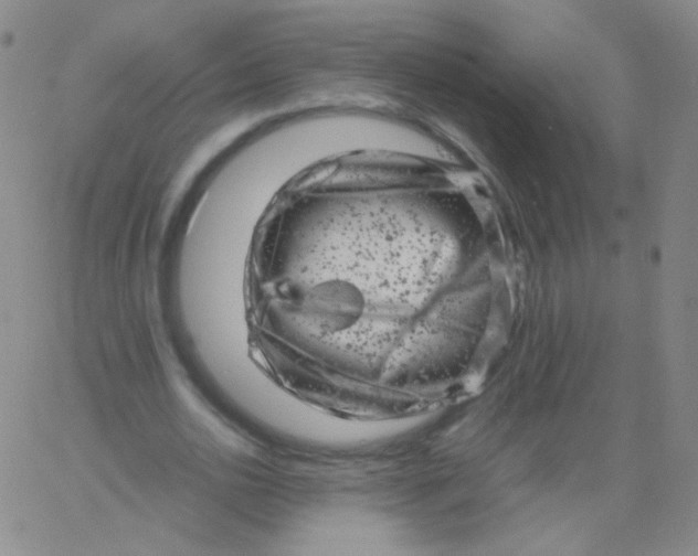 X0000061760726200512231550