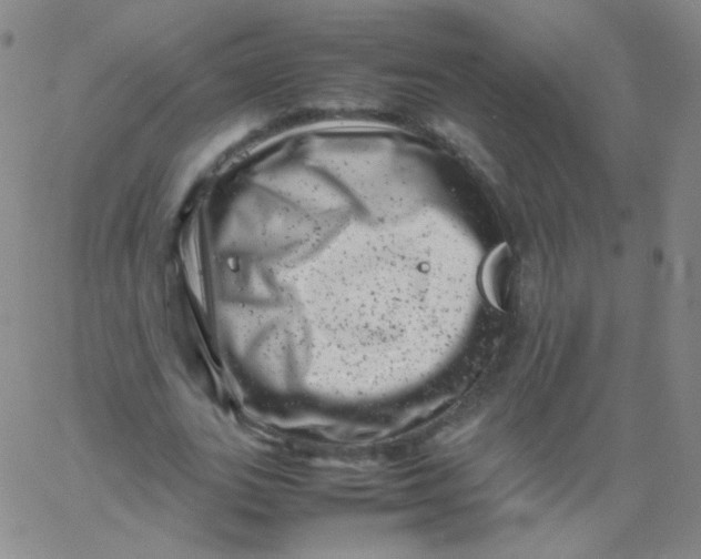 X0000061760727200512231550