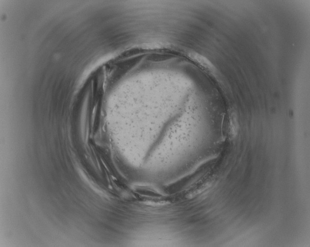 X0000061760728200512231550