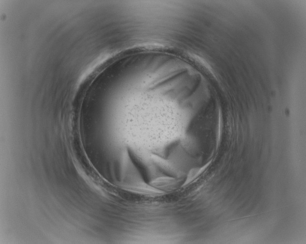 X0000061760730200512231550