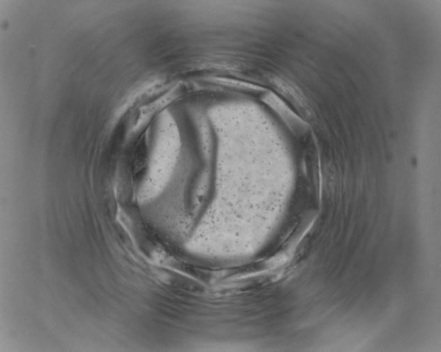 X0000061760731200512231550