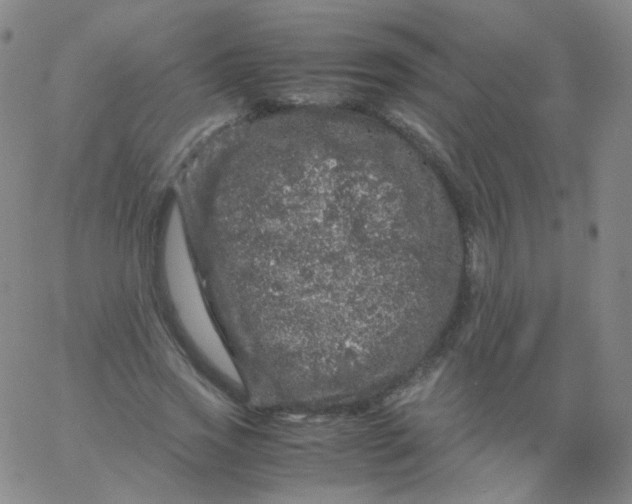 X0000061760733200512231550