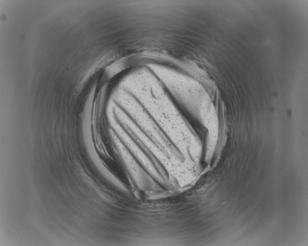 X0000061760735200512231550