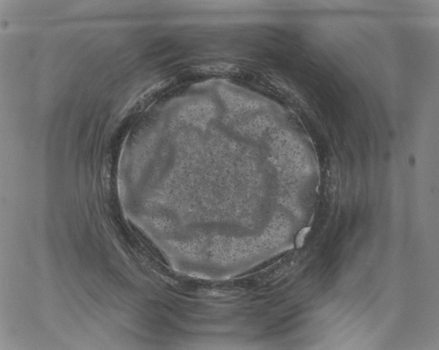 X0000061760739200512231550