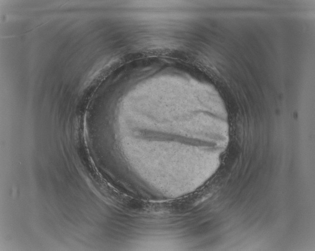 X0000061760742200512231550