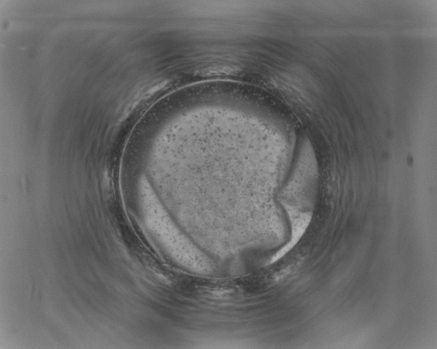 X0000061760743200512231550