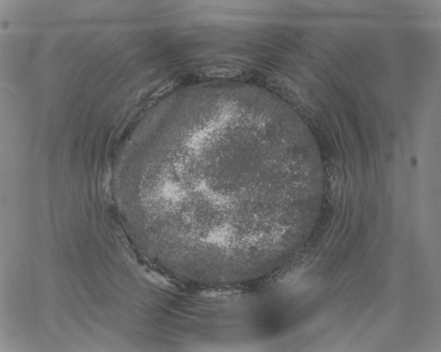 X0000061760745200512231550