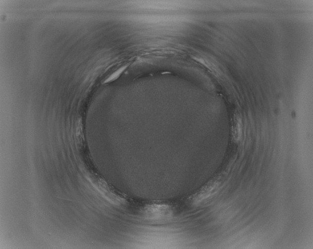 X0000061760748200512231550