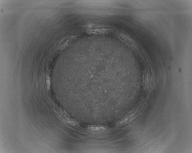 X0000061760749200512231550